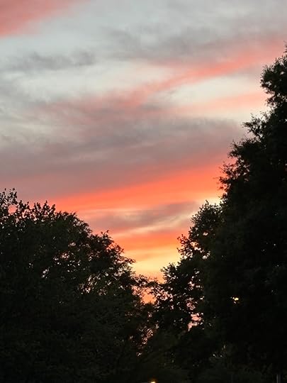 a sunset over trees and a road
