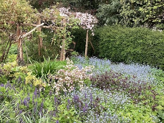 Spring flowers