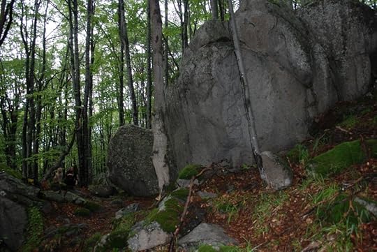 Катерене в София - Златни мостове
