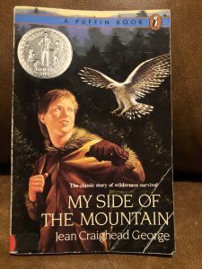 My Side of the Mountain: Top Ten YA Books for Adventurous Souls