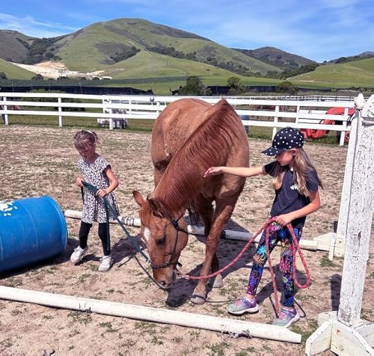 The nonprofit Hope, Horses and Kids, has moved entirely out to the Rancho Cielo campus since Feb., becoming part of the curriculum and continuing to provide its brand of services to the community. (Photo courtesy of Hope, Horses and Kids)