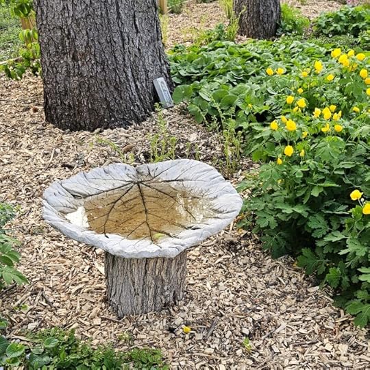 Cement rhubarb leaf bird bath on a wooden log set in a garden, half full of water