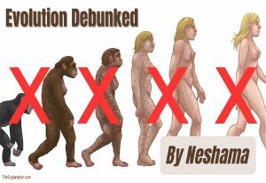Evolution debunked by neshama