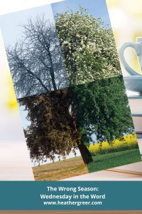 The Wrong Season title with tree in four seasons