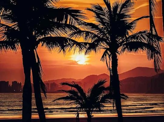 Sunset over the water with palm trees in the foreground representing dark tourism
