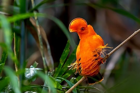 guyana-travel-guide