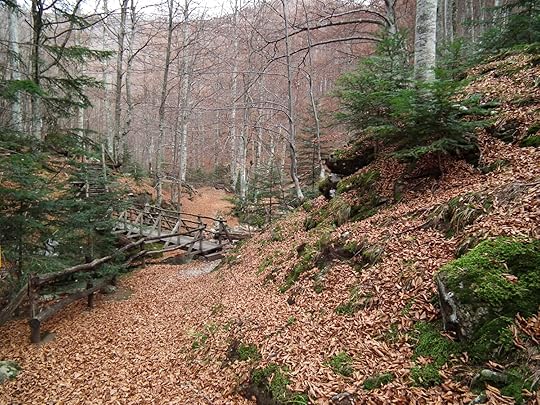 Екопътека Видимско пръскало