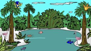 Sign Up For The Shelly Beach Portal