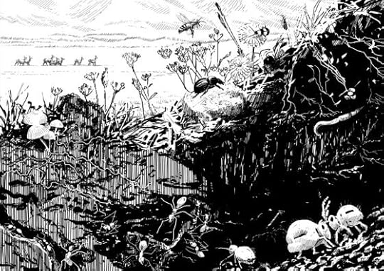 Restoring soil biodiversity takes animals