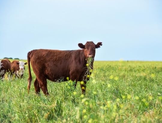 https://i0.wp.com/trendsjournal.com/wp-content/uploads/2024/05/TECHTREND-MEAT-MILK-AND-CASH.jpg?resize=580%2C440&ssl=1