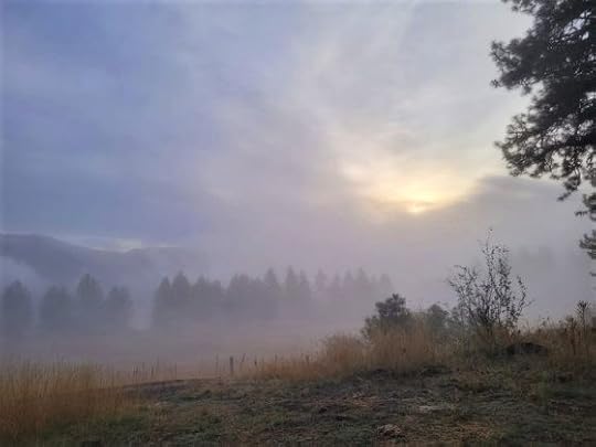 Transform Your Life: Six Proven Steps to Find the Secret of Joy