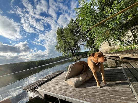 dog on a dock at the lake