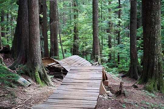 mountain bike parks - woodwork feature