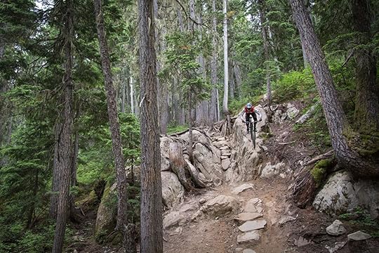 mountain bike park - techy rider at whistler