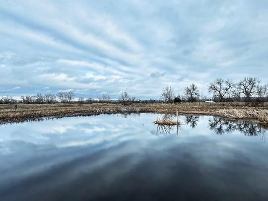 Embodied Self-Compassion with Dr. Arielle Schwartz