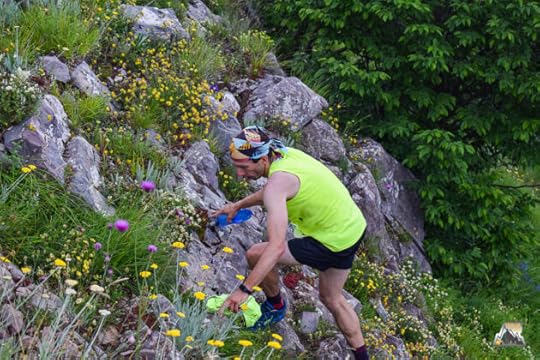 Triglav Skyrun / Триглав скайрън