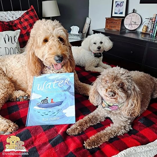 Three dogs are lying on a bed with a large children's book between them. The book is Water by Olga Fadeeva.