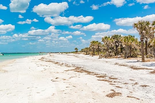 south carolina state park beach