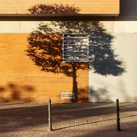 Image may contain Brick City Road Street Urban Architecture Building Wall Plant Tree Path and Sidewalk