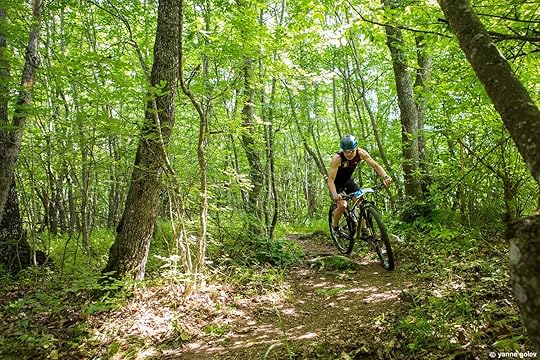 600 застават на старт в четвъртото издание на 
