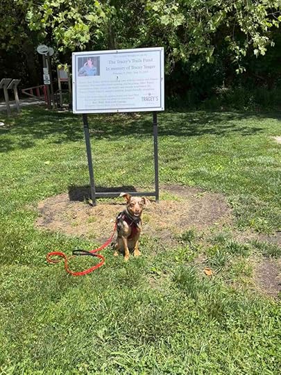 Sunny with Tracey's Trail sign