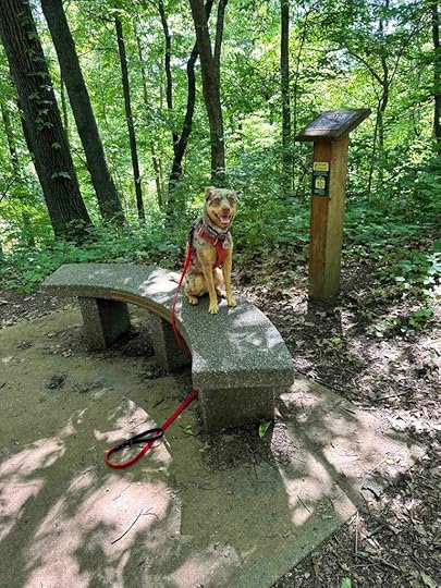 nice rest spot on Tracey's Trail
