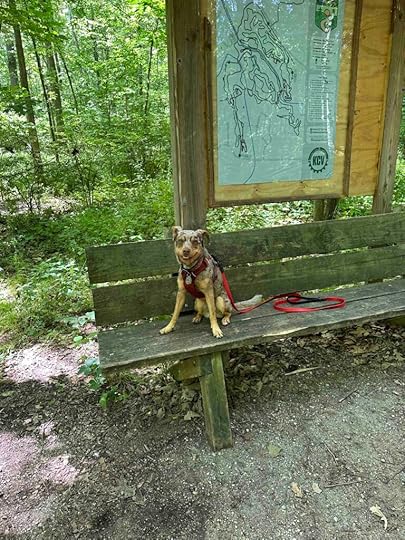 trail map at Tracey's Trail