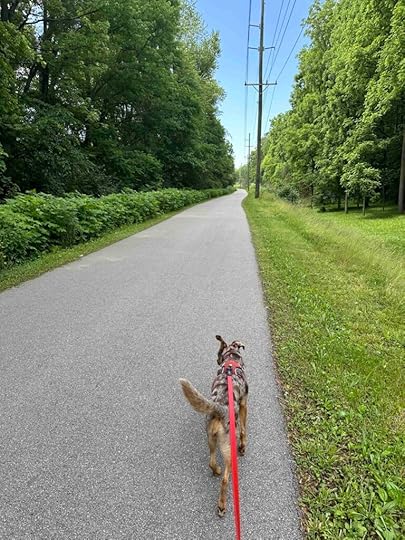 on the Wabash River Trail