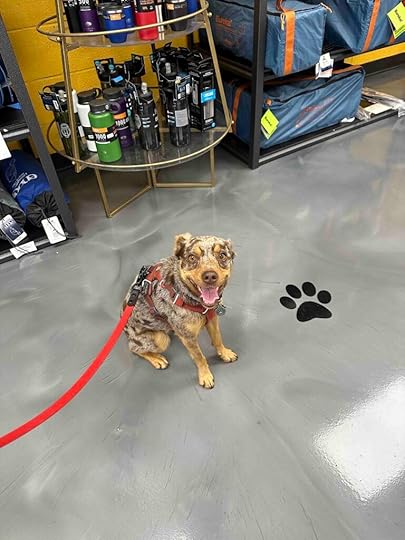 Sunny at Alley Cat Outfitters