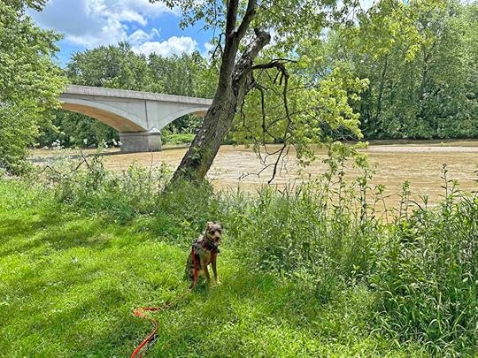 Sunny and the Wabash River