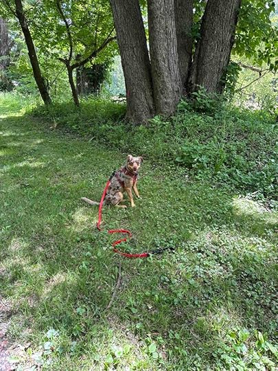 Sunny on the Wabash River Trail