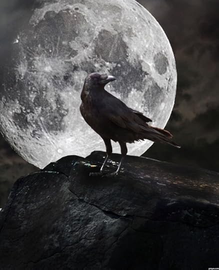 raven against the moon
