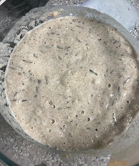 Bubbly manoomin bread sponge after fermenting for a few hours at room temperature.