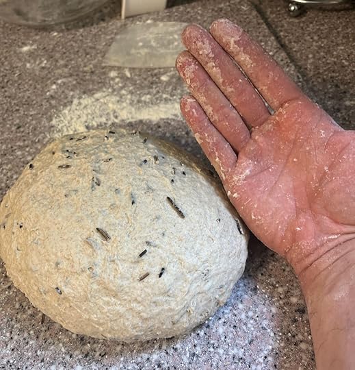 Manoomin bread dough after kneading, with long black flecks of manoomin clealy visible, and my hand, with not that much stickiness on it. 