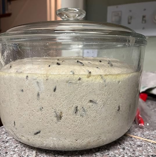Manoomin bread dough after rising