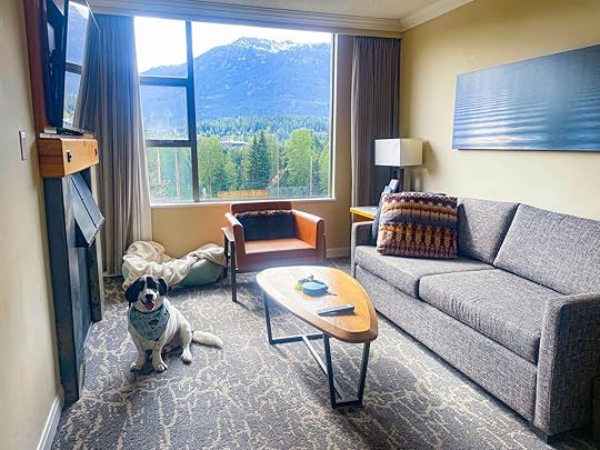 Westin Whistler review - dog friendly