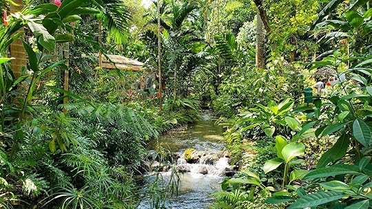 Beautiful, tropical, lush, green garden in Konoko Falls, Ocho Rios, Jamiaca with a lot of foliage and scenic river flowing through the middle on a spring day.