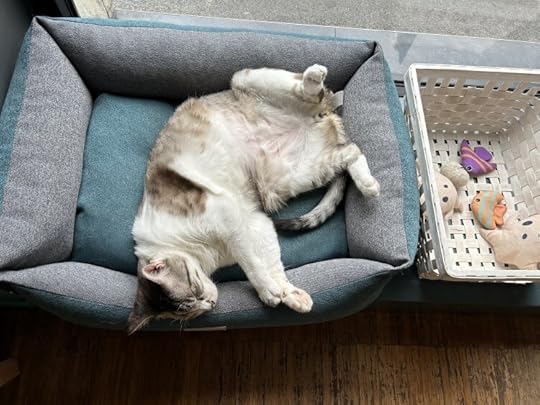 3 zile la Milano pentru concertul Lana del Rey