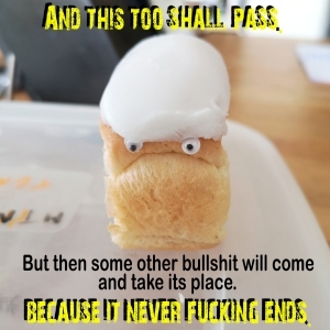 Picture of an iced bun with eyes stuck on it so it looks as if it's a miserable face bearing the legend, 'this too shall pass but some other bullshit will come and take its place becausae it never fucking ends.