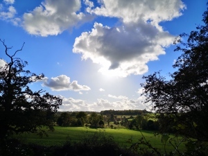 A picture of british countryside, rolling hills and trees, with sunshine and blue sky