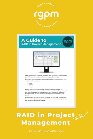 RAID in project management