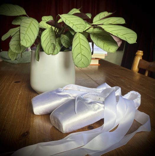 Simple things: white pointe shoes and a prayer plant.