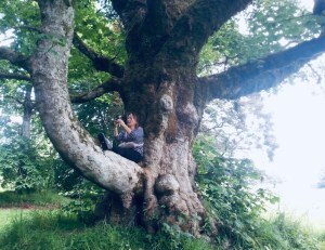 Ailish Sinclair in a tree...