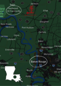 Broken Bayou