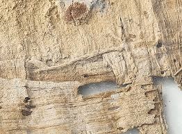 part of the 'oldest-known book in the world'