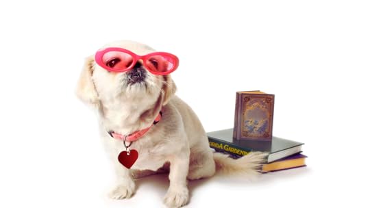 I Beach Boys, Fitzgerald e le mode