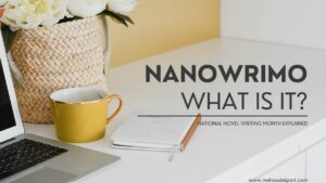 What is NaNoWriMo