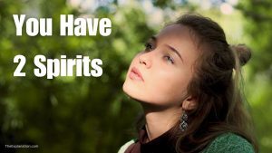 You have 2 spirits. Neshama and ruach, Consciousness and mind.
