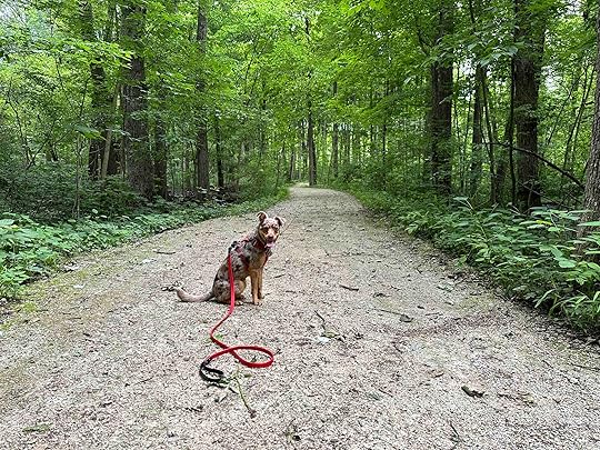 Maple Wood Nature Preserve