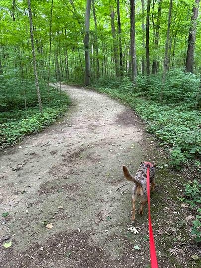 On the trail at Maple Wood Nature Preserve